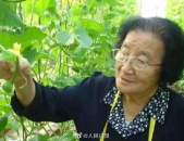 娱乐吃瓜君高压水枪,高压水枪背后的娱乐风云
