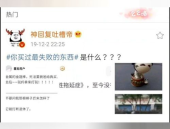 热门是什么东西,探寻社会热点与大众心理的交织