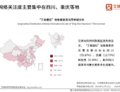 关于网红现象的研究分析,解析当代社会文化现象的多维度影响