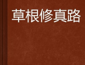 草根散修修真路,一段修真路上的传奇历程