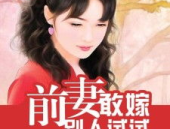 敢嫁人试试,敢嫁人试试的探索之旅
