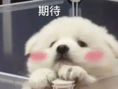 有没有微信聊天记录吃瓜群,吃瓜群背后的真相与秘密